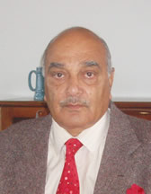 Prof. Asif Malik